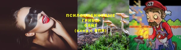 mdpv Россошь