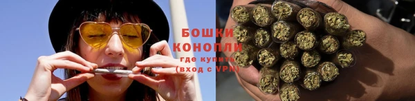 индика Протвино
